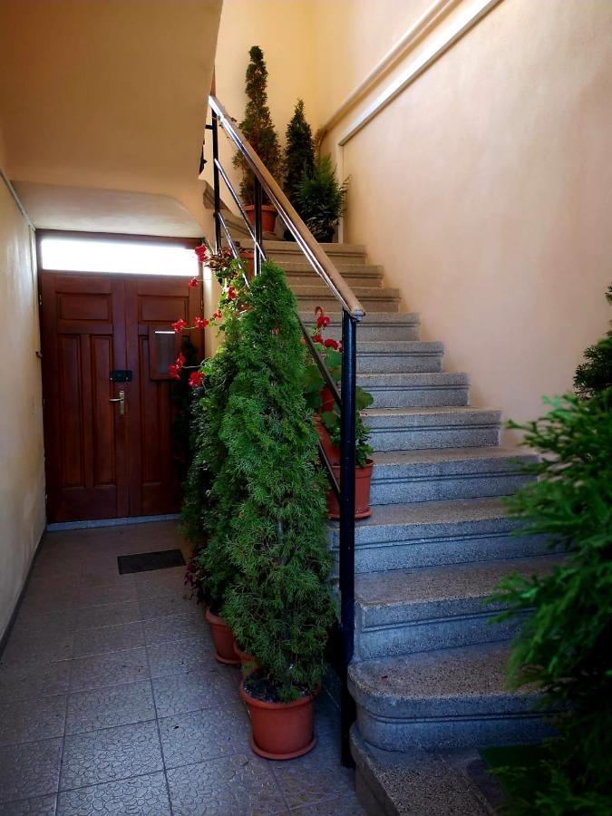 Villa Casa Ioana Braşov Eksteriør bilde