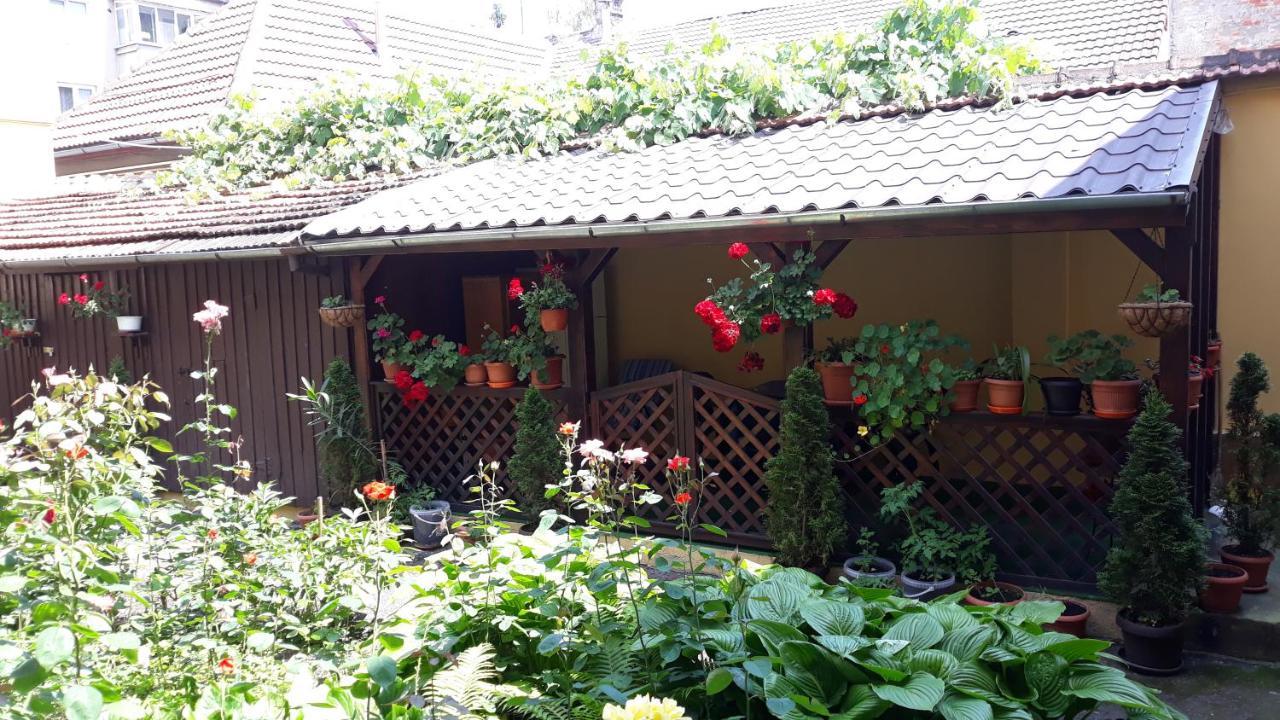 Villa Casa Ioana Braşov Eksteriør bilde