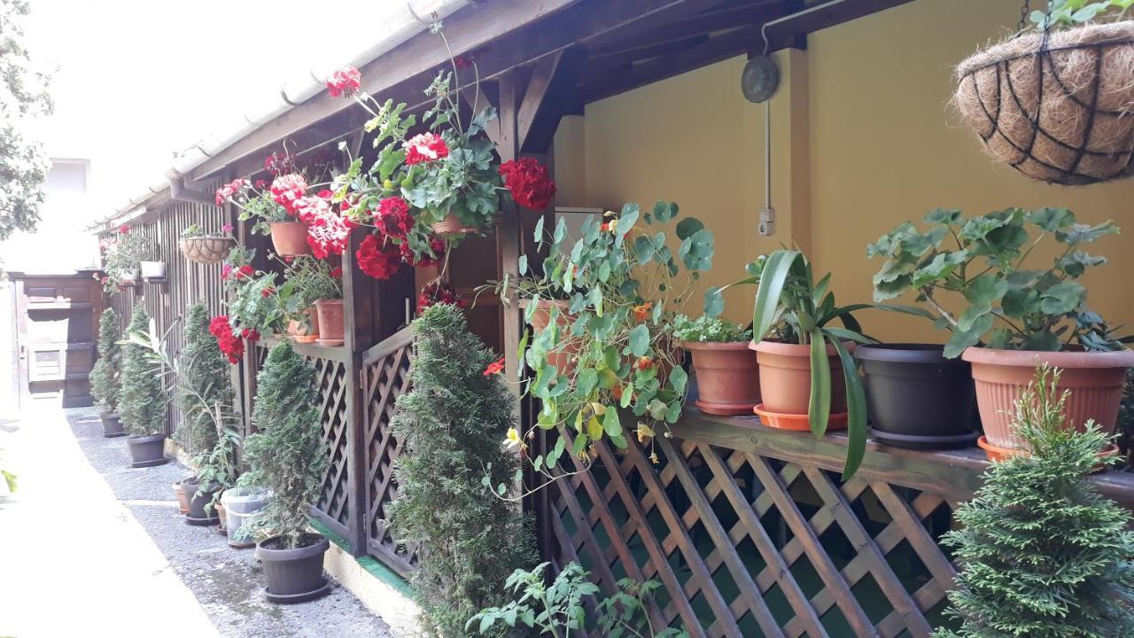 Villa Casa Ioana Braşov Eksteriør bilde